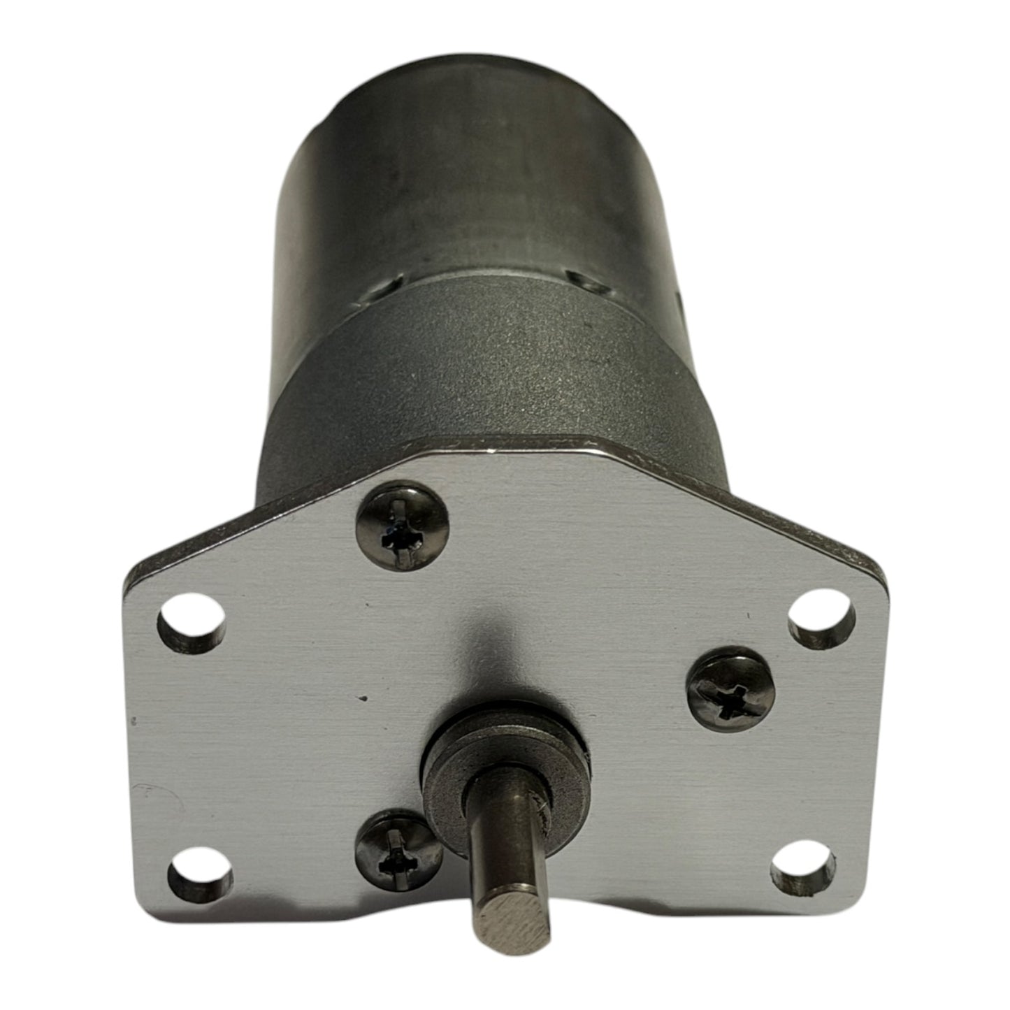 Watersnake Turning Motor 24v