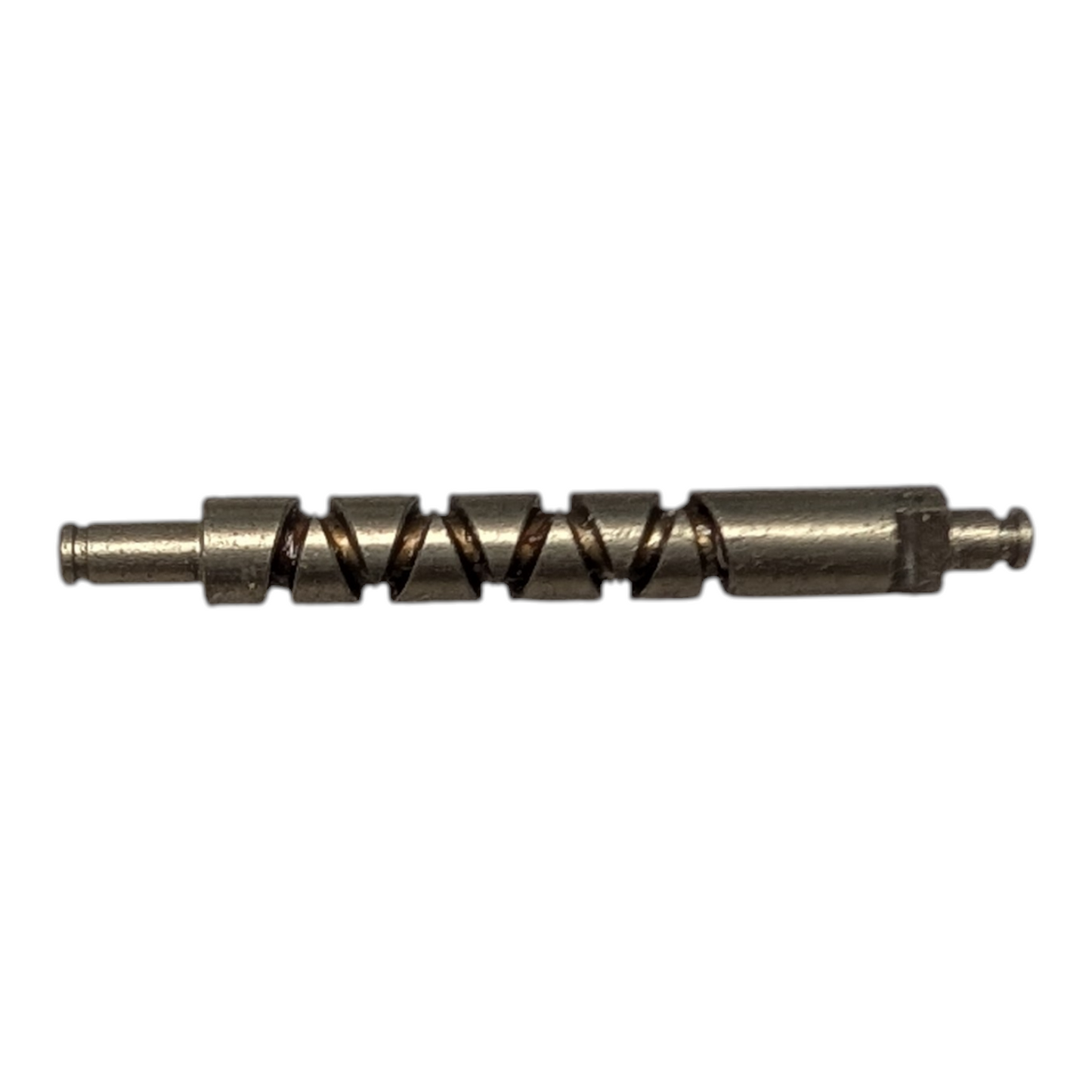 Quantum Worm HV072-02